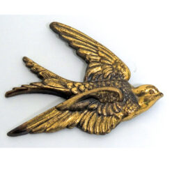 Freedom Bird in Flight