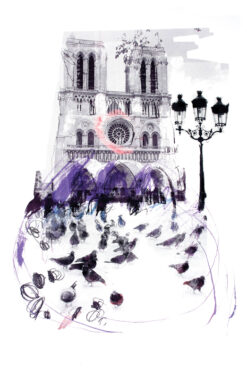 Paris, Pigeons at Notre Dame