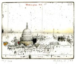 Washington D.C., Capitol, 2009