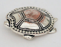 Turtle Brooch