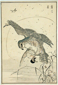 Japanese Woodcut