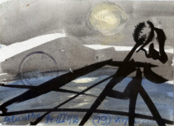 Oil Nut Bay, 14 III 1996