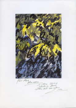 Flowers, 1 November 2001,